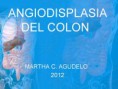 /album/angiodisplasia-dra-marta-agudelo/diapositiva5-jpg/